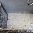 청솔정육점 - 아산시 | 청솔정육점