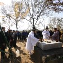 팔곡당산 산신당 및 산신제 이미지