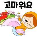 용인대튼튼태권도장 이미지