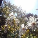 개인공간 이미지