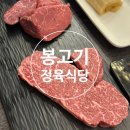 야탑로105번길 | [분당/야탑]봉고기정육식당-콜키지 프리 야탑 고기집 등심, 안심 후기