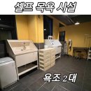 큰댕댕 개치원 이미지