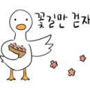 평창테니스장 이미지