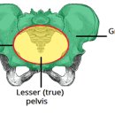 아기탄생조산원 이미지