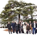 진안마원 이미지