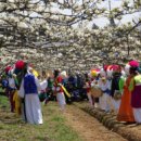 나주배박물관 이미지