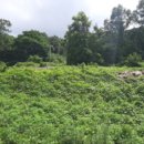 강화목장 이미지