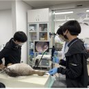 인천야생동물구조관리센터 이미지