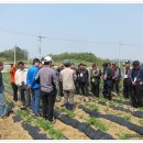 감물농장 이미지