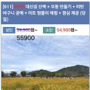 8월13일(당,목) 여주 대신섬산책+우동만들기+라탄바구니공예+아트텀불러체험+점심제공,(취소합니다) 이미지
