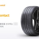 타이어프로주례점 이미지