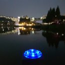 밤풍경(동백호수공원) 이미지