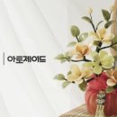 빌롱투유