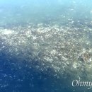 봉암동200 이미지