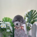 양덕동275 이미지