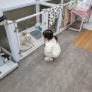 클로에 살롱 네이버블로그
