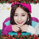 쉐이커아트 이미지