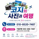 코지의사진과여행