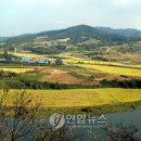 임실 가덕리 하가구석기유적 이미지