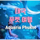 시원관광 - 안양시 만안구 덕천로152번길 25 | 시원관광