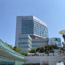 연세세브란스2호파스쿠찌 이미지