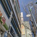 호성연합의원 이미지