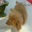 우승농장 이미지