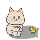 금강복집 이미지