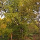 교촌길(동) 이미지