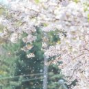 씨유부산중구중앙점 이미지