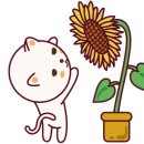 통돼지묵은지찌개 이미지