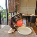 레인보우힐링센터 이미지