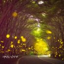 청산도올레펜션 이미지