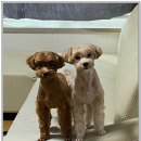 아이조아 요양보호소 경기광주 이미지