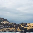 동방상사 | 대만 여행, 내돈내산 예스폭지 버스 투어 후기 : 스펀 풍등부터 지우펀 인파, 투어 비용 총정리