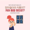 유디중앙로치과의원 이미지