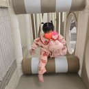 오금공원3(다목적경기장) 화장실 | 송파키즈카페 추천 무인 프라이빗 키즈카페 착한토끼 키즈카페 키즈룸 송파오금하우스