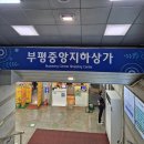 [부평역] 부평 속눈썹연장 : 끌레오뷰티크 💡LED속눈썹연장 후기🤍