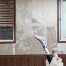 솜이 펫살롱 이미지