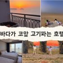 롱비치패밀리호텔 | 충남 태안 만리포 오션뷰 취사가능 롱비치패밀리 호텔 바베큐후기