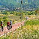 샘재로 3 이미지