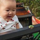 소울키즈 풀빌라 펜션 이미지