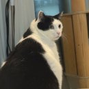 철길부산집  파주금촌점 이미지