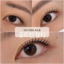대구 두류동 속눈썹 펌 ㅣ 유지력 좋은 곳 추천, 공드린뷰티 솔직 후기
