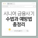 라인1차경로당 | 1. 2025년 최신 시니어 금융사기 수법과 예방법 총정리