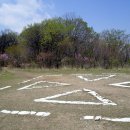 진달래 핀 풍경 이미지