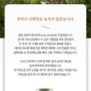 그린라이팅 이미지