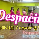 올댓라인댄스 동영상 - Despacito (데스파시토) (cover by 임영웅) (by Eun-Mi Lim) - 미네르바쌤 작품 이미지