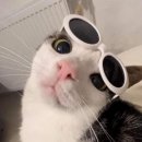 삼성컴퓨터세탁 이미지