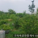 불은면-7 이미지